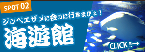 ジンベエザメに会いに行きまひょ！ 海遊館