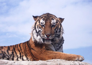 天王寺動物園